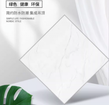简约防水防潮吊顶板